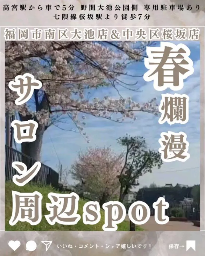 【春爛漫🌸サロン周辺お気に入りspot🌸】